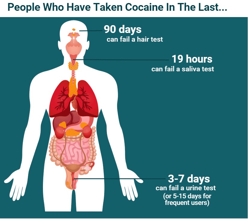 How Long Cocaine Stays in the System